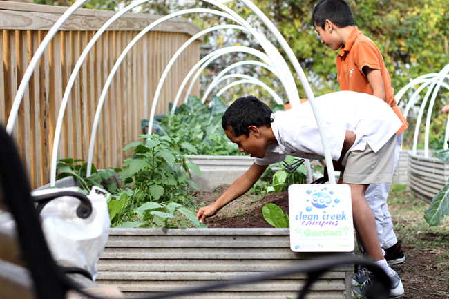 <p>Fourth grade students at UT Elementary School prune the school’s garden Monday afternoon. The school plans to make a community garden with a $100k grant they recently received.</p>
