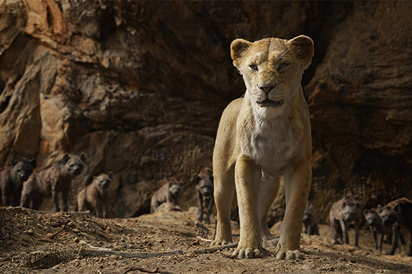 The Lion King courtesy Disney Enterprises