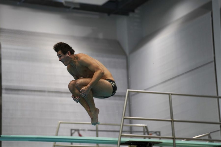 Texas men’s, women’s diving teams finish victorious at Texas Diving Invitational
