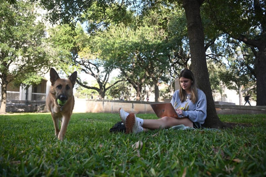 A student sits in the courtyard of Rainey Hall with her dog on Tuesday, January 18th.
