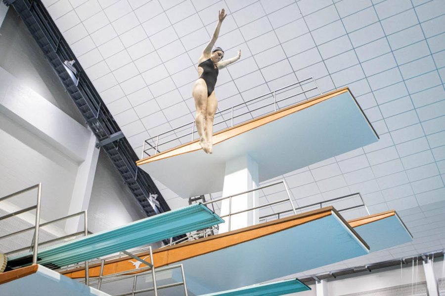 Texas diving qualifies 10 divers for NCAA Championships at Zone D Diving Championships