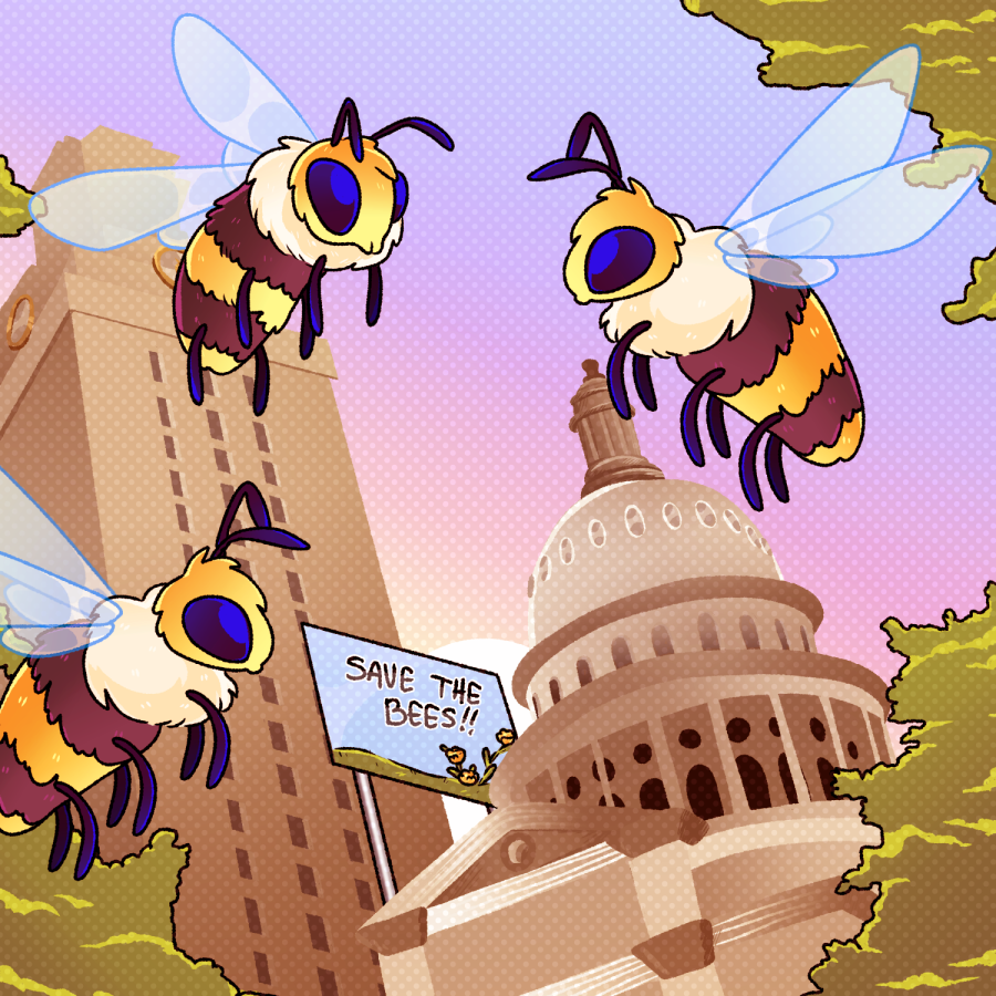 UT+beekeeping+org+visits+City+Council+to+make+Austin+an+official+Bee+City