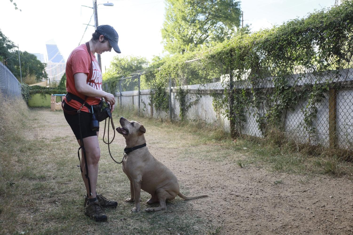 Local animal shelter Austin Pets Alive calls on community for help