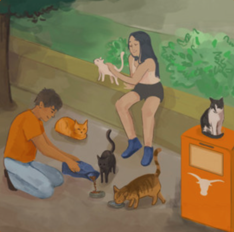 Campus+Cats