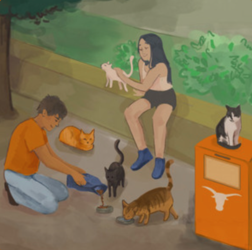 Campus Cats