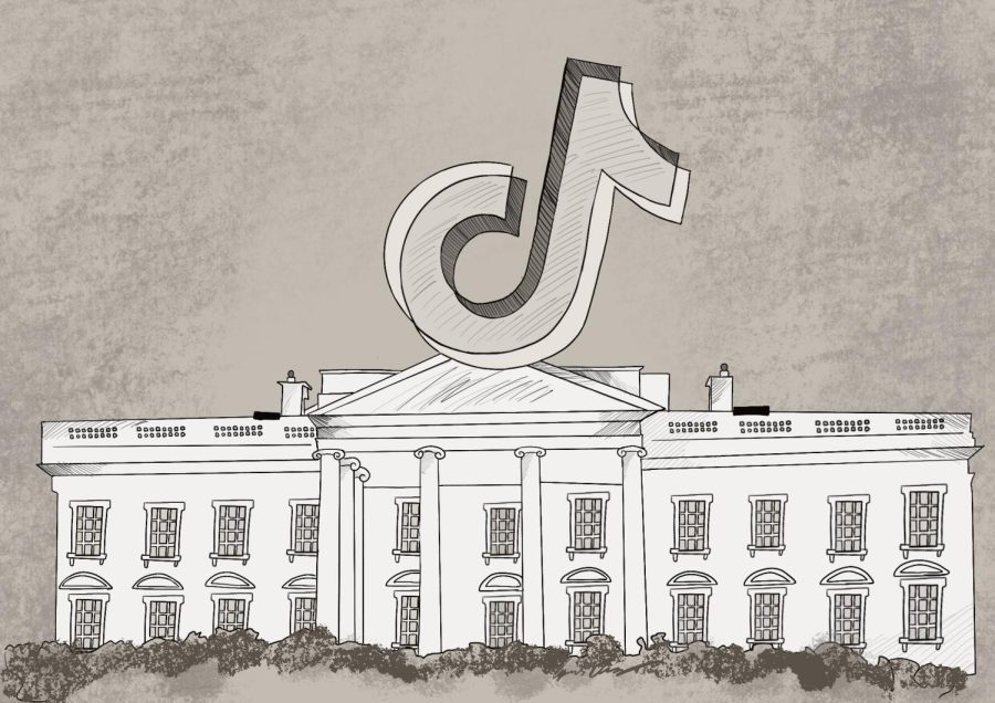 White House turns to TikTok stars to reach younger audiences