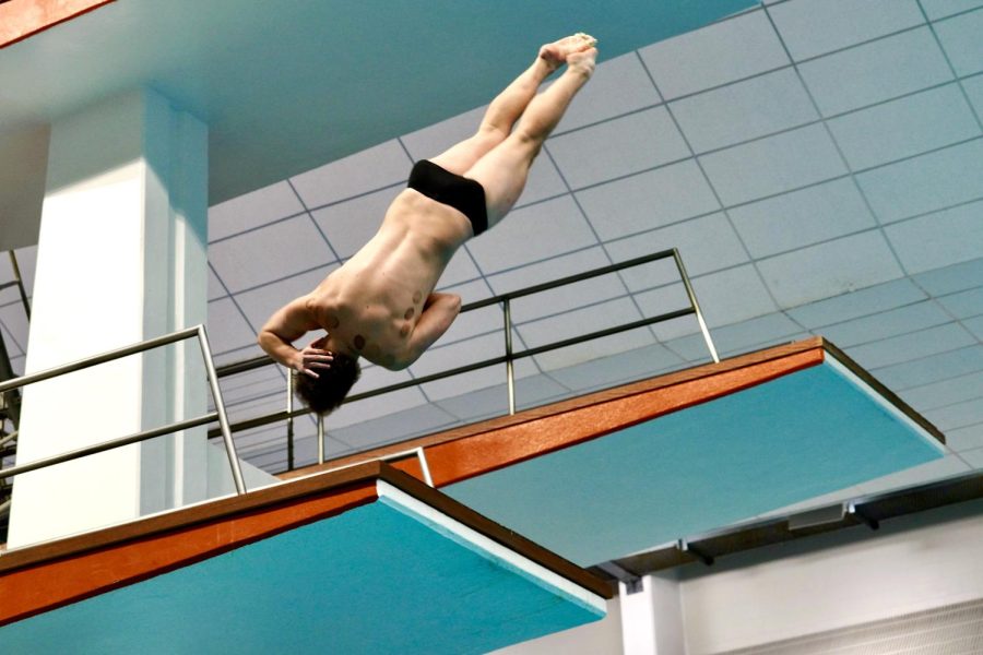 Men’s, women’s diving teams finish victorious at Texas Diving Invitational
