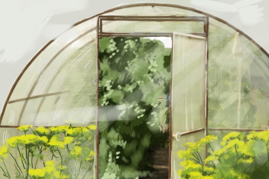 UT should revitalize its campus greenhouses