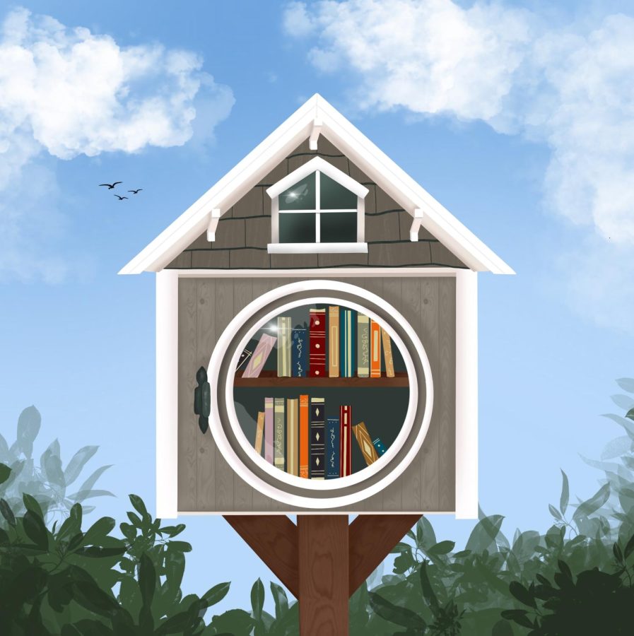 Implement Little Free Libraries around campus