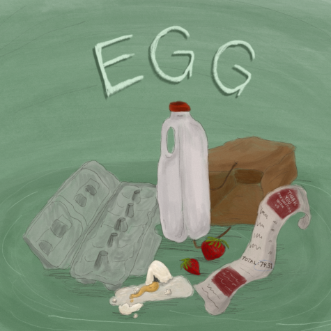 Con demanda alta y bajos suministros, estudiantes enfrentan la crisis nacional de huevos