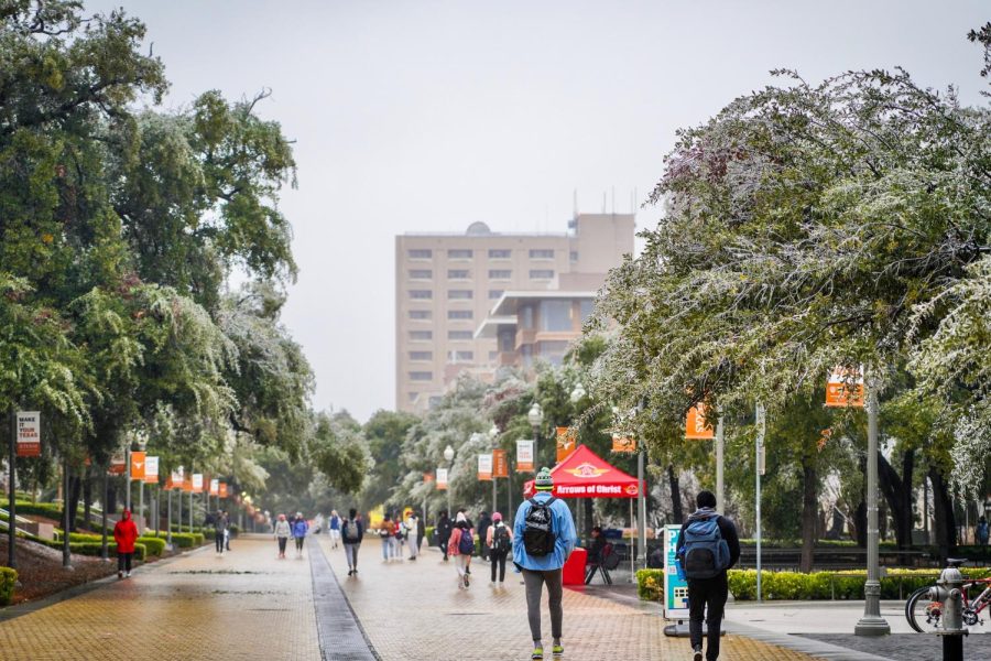Estudiantes y el campus de UT lidian con los daños después de la tormenta de invierno de la semana pasada