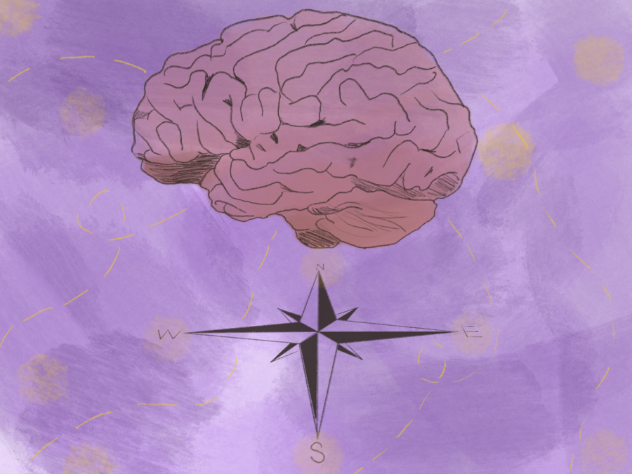 Research findings on brain’s internal compass shows implications for modern human experience