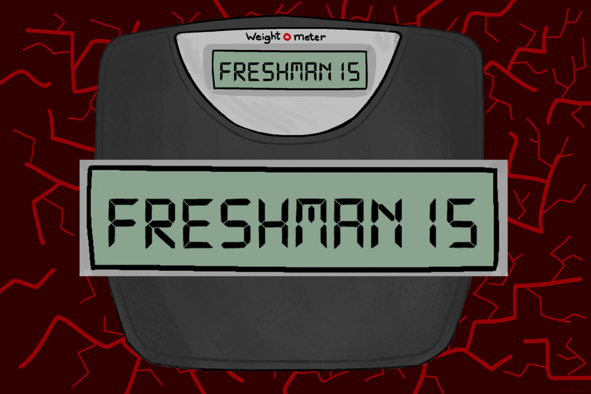 Forgetting+the+freshman+fifteen