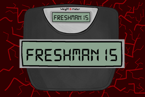 Forgetting the freshman fifteen