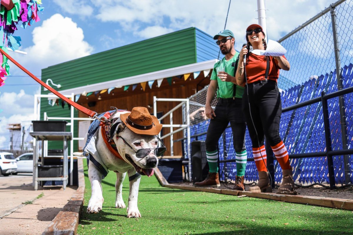 Panda+walks+the+runway+at+the+Howl-O-Ween+costume+contest.+His+owner+Chad+Minarcin+says+he+is+dressed+as+an+East+Austin+Hipster+and+won+the+Best+Pitty+%28Pitbull%29+Costume.