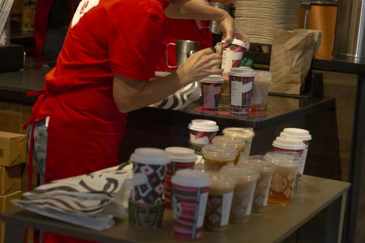 ‘Its just not enough’: Starbucks union workers form picket line protesting Red Cup Day