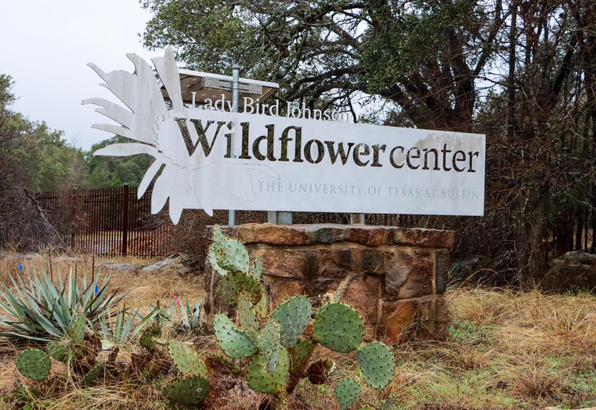 Rain falls outside the entrance to the Lady Bird Johnson Wildflower Center on Jan. 24.