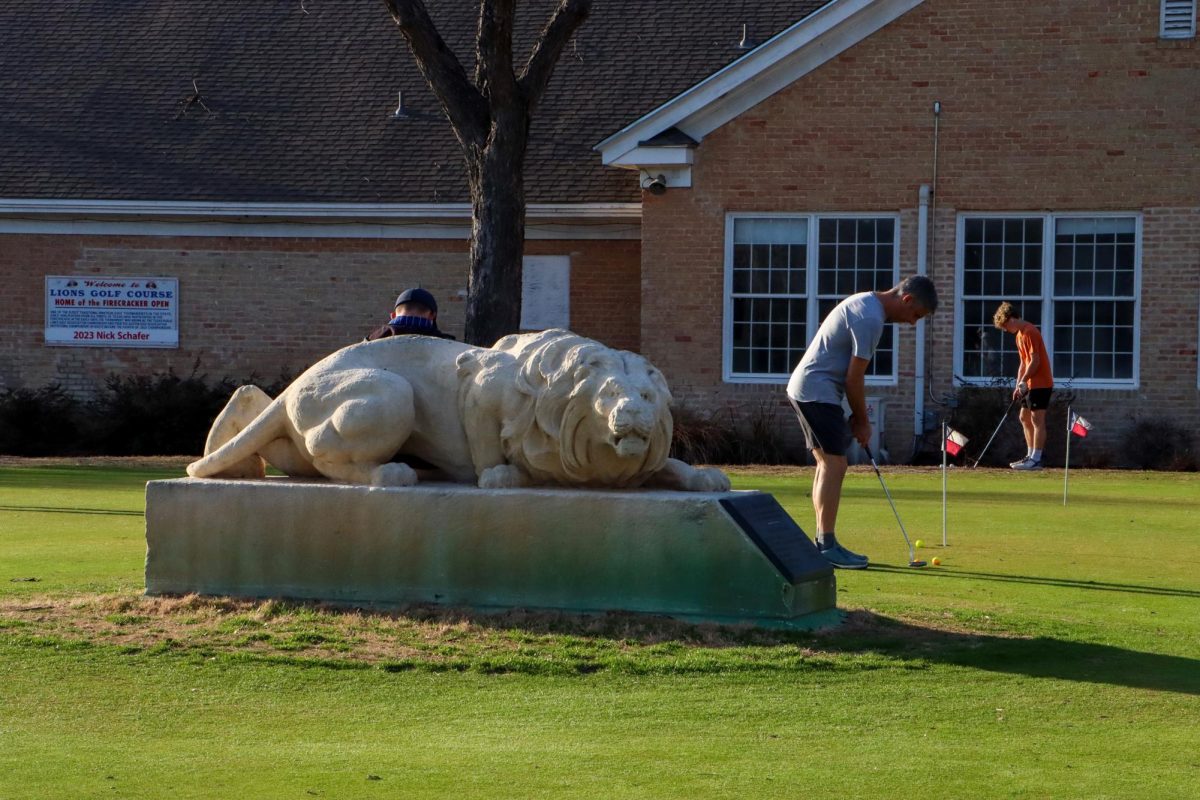 A golfer lines up his club to hit the ball near a lion statue at the Lions Municipal Golf Course on January 29, 2024.