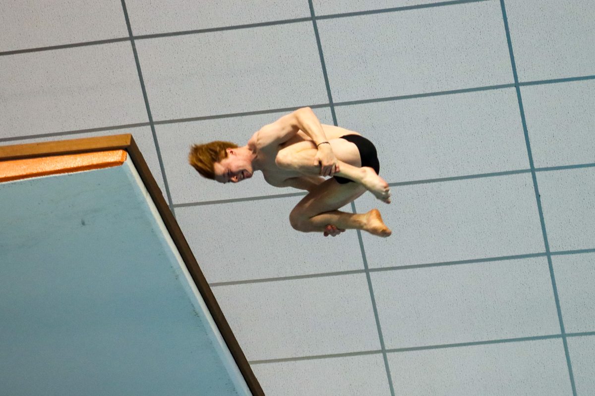 Freshman Tanner Braunton flips as he dives off the platform on Nov. 3, 2023, at Texas meet against TCU.