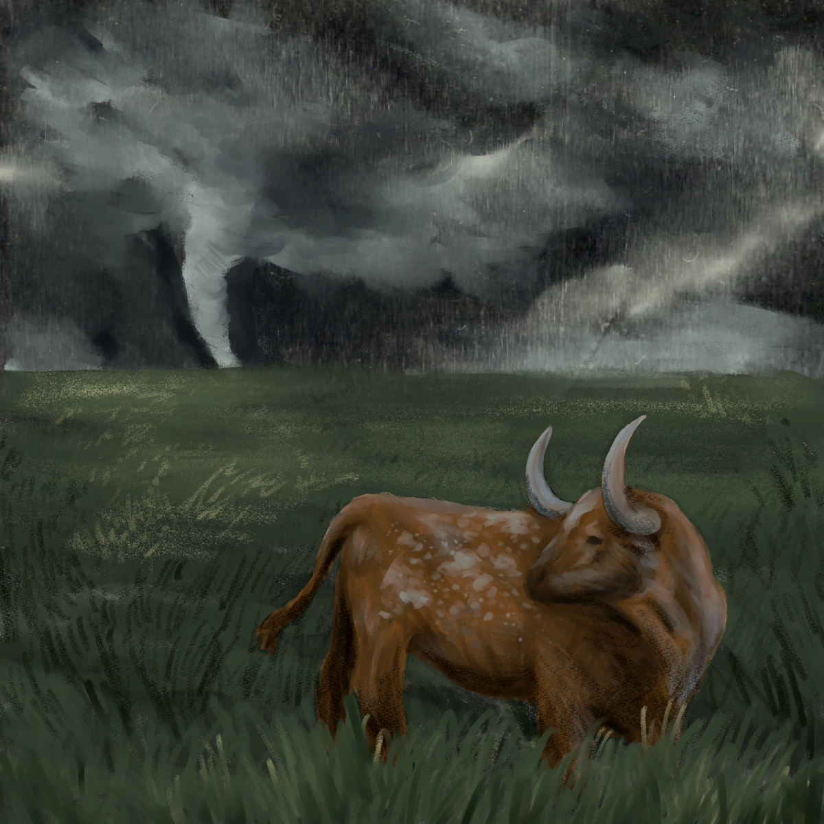 Five courses for ‘Twisters’ inspired, storm-chasing Longhorns to enroll in this fall