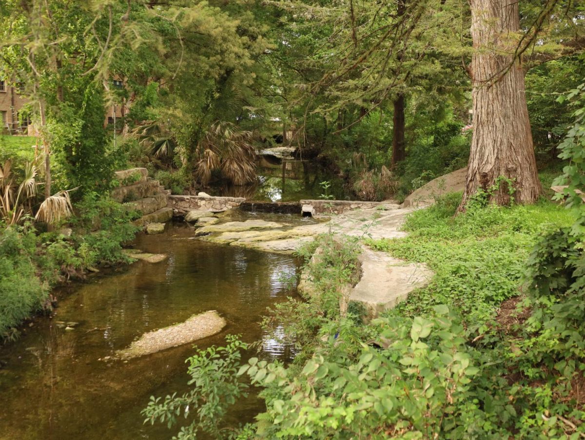 Waller Creek on Sept. 19, 2022.