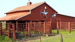 Red barn with star and Texas flag