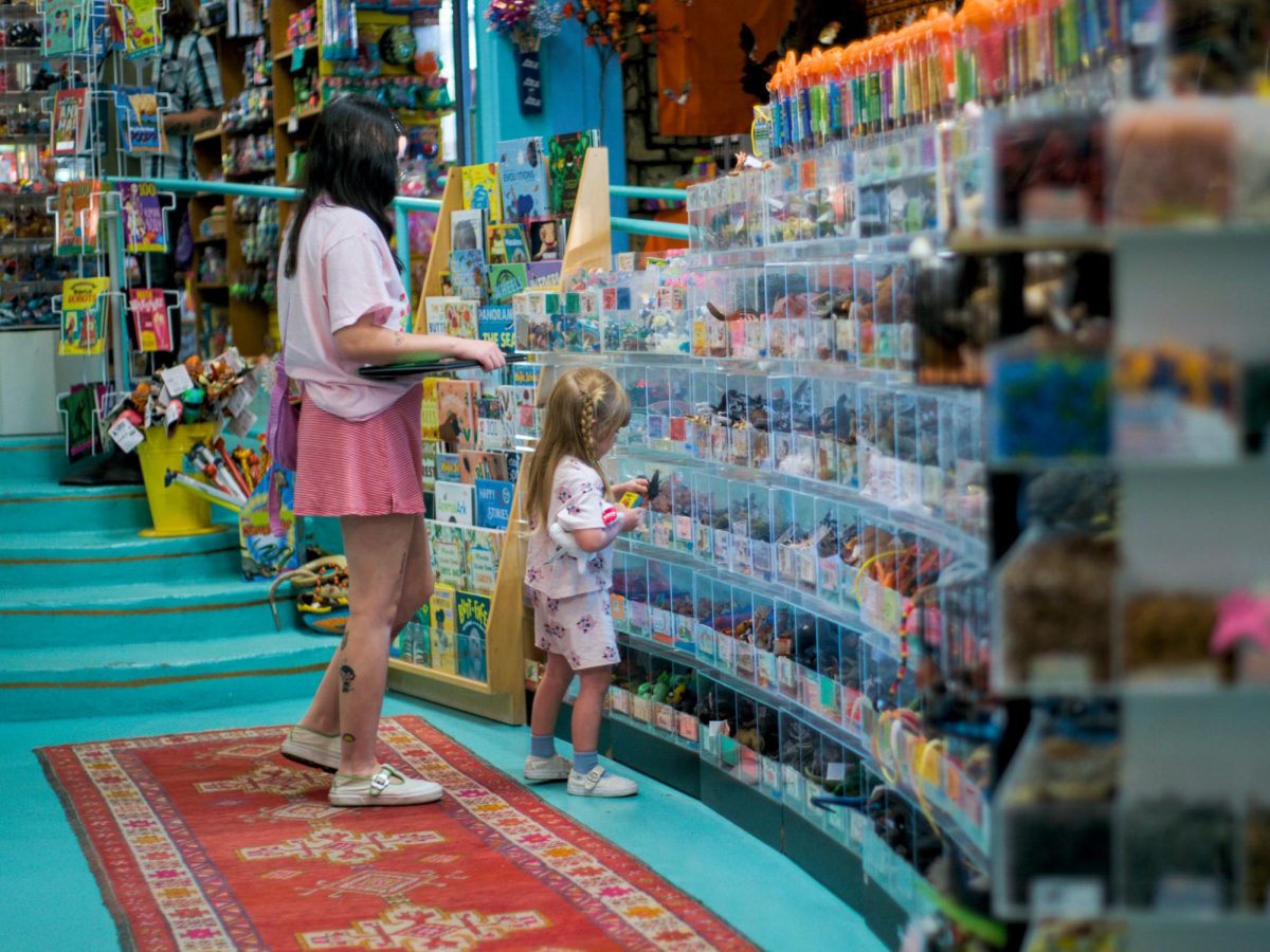 Customers shop in Terra Toys on Sept. 18, 2024. Terra Toys is a locally owned toy store in north Austin.