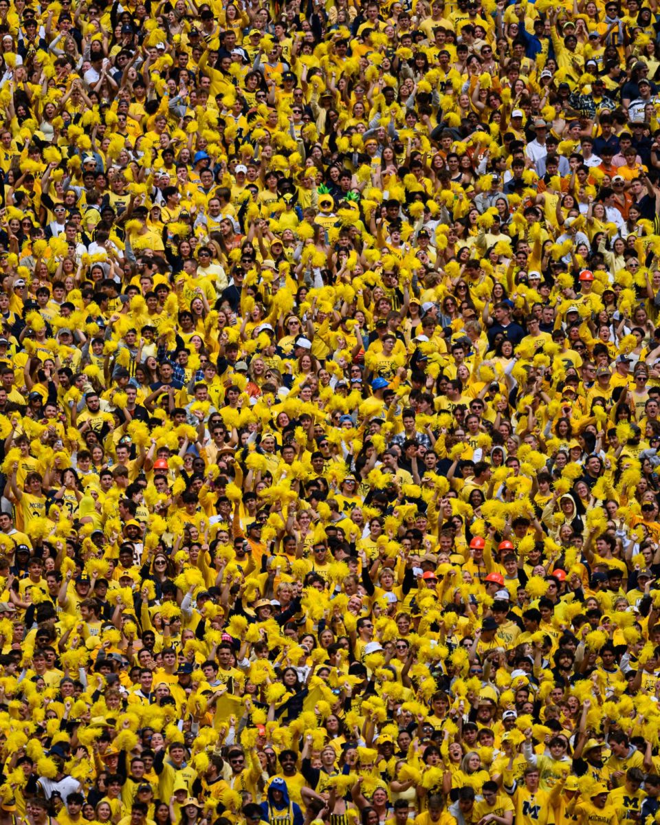 Michigan fans cheer during the Texas vs. Michigan Football game at Michigan Stadium on Saturday. Texas won 31-12.