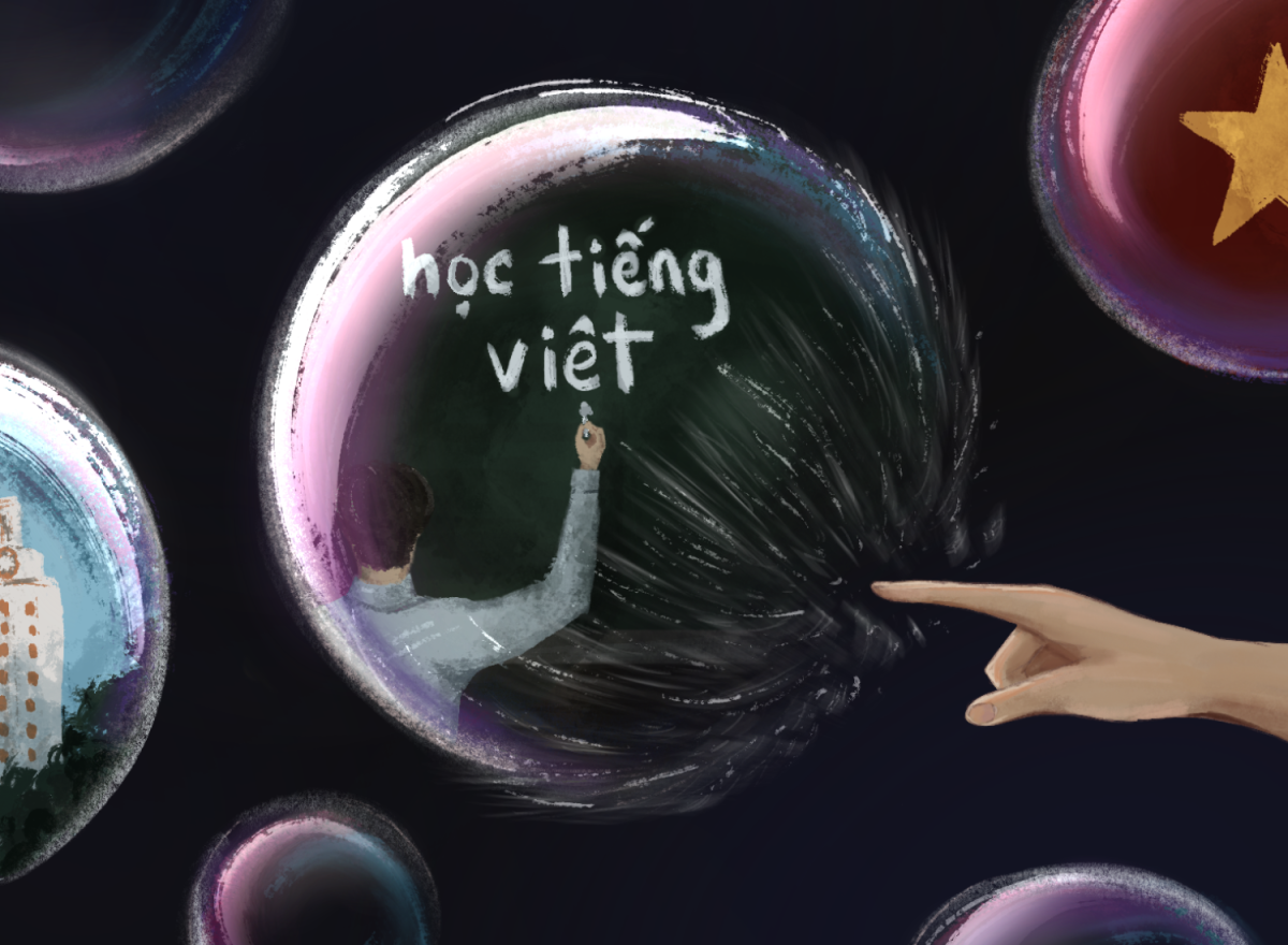 Bring Vietnamese back to classrooms