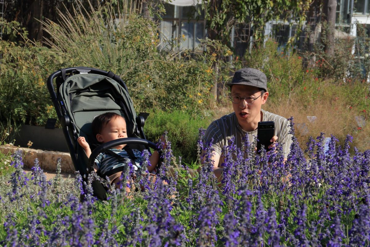 Kendrick Shu, 36, talks to his 2-year-old son, Alder, about flowers at the Lady Bird Johnson Wildflower Center on Saturday, Oct. 12.