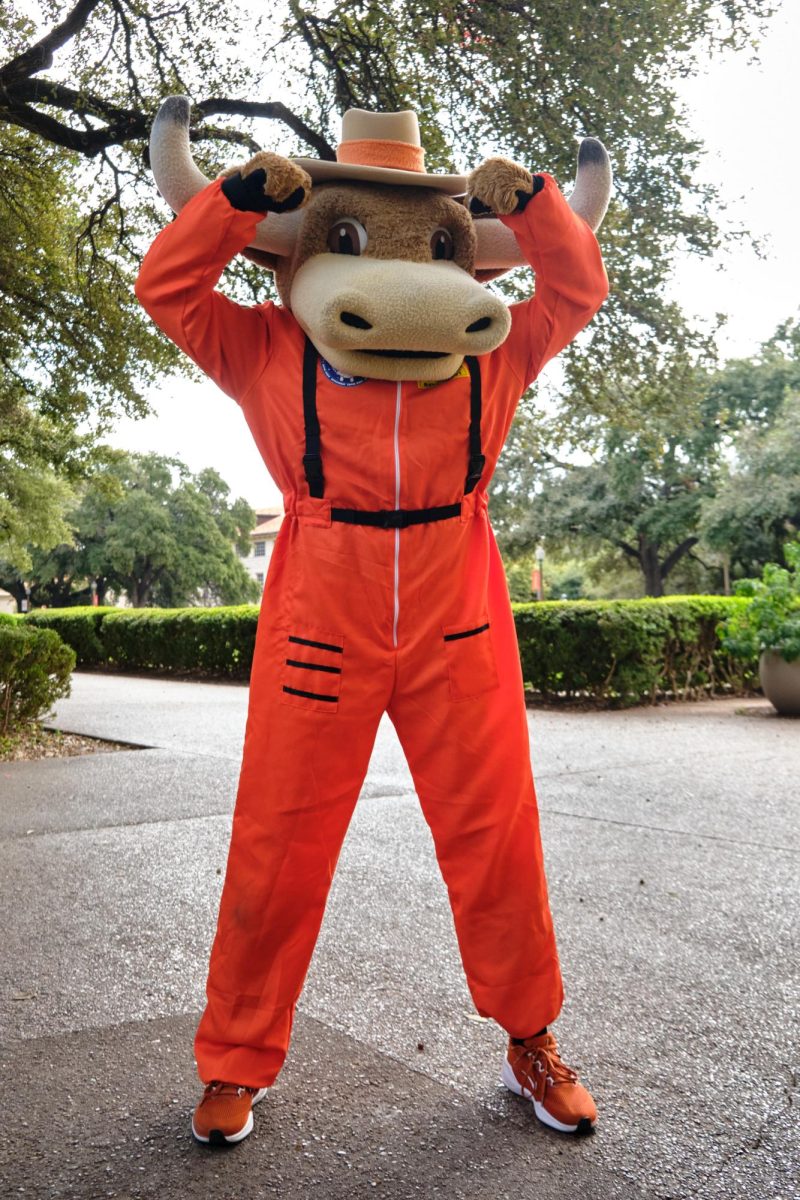 Bevo in front of the UT Tower.