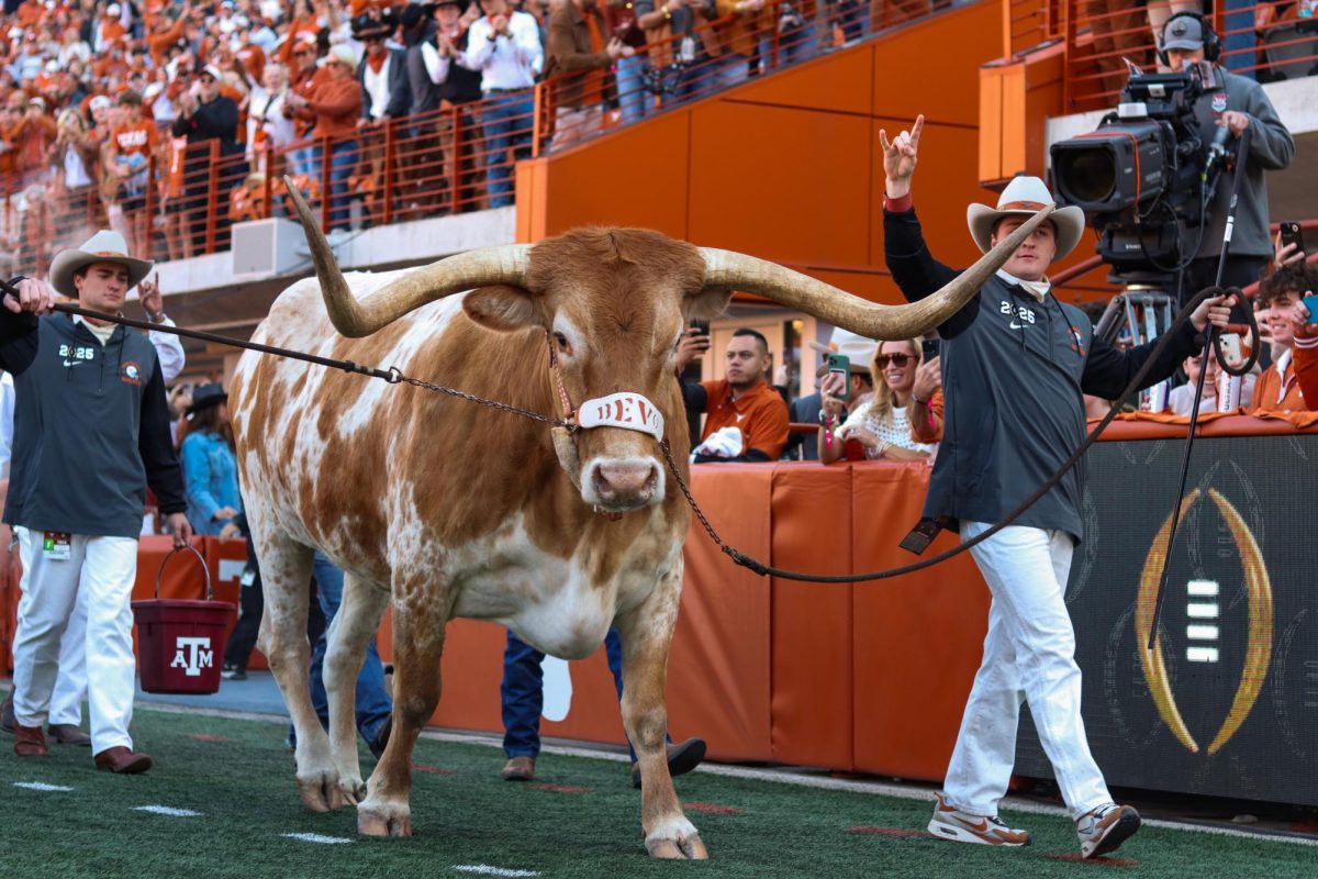 Bevo XV walks into the stadium prior to kickoff of the Texas-Clemson game on Dec. 21, 2024.