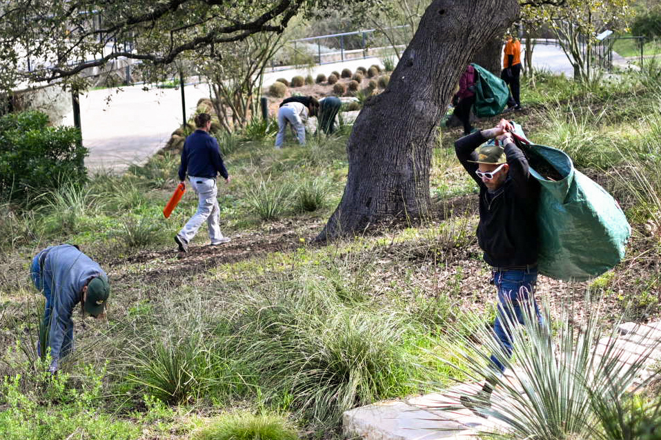 Director of Park Operations Martin Nembhard carries a bag of dead plants across the Waterloo Greenway while volunteers pick weeds on Feb. 17.