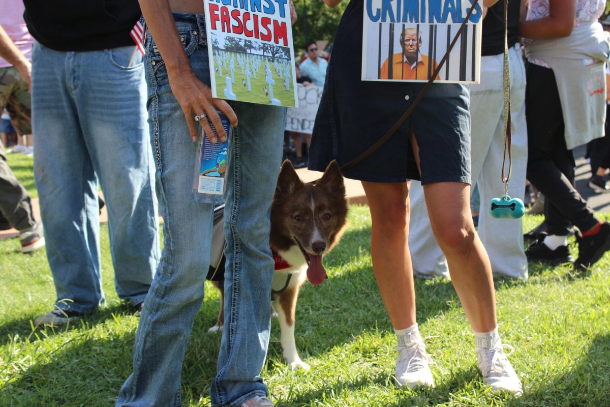 A dog stands with protestors Protestor on the Capitol Lawn at the "No Kings" protest on June 14, 2025.