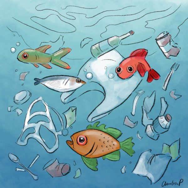 Investigadores de la ciudad y UT realizan un estudio de “primer paso” sobre microplásticos en los lagos de Austin