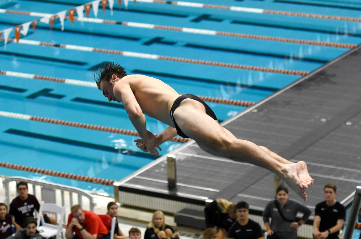 Senior Nick Harris dives off the three-meter springboard on Nov. 14 at the Texas Diving Invitational.