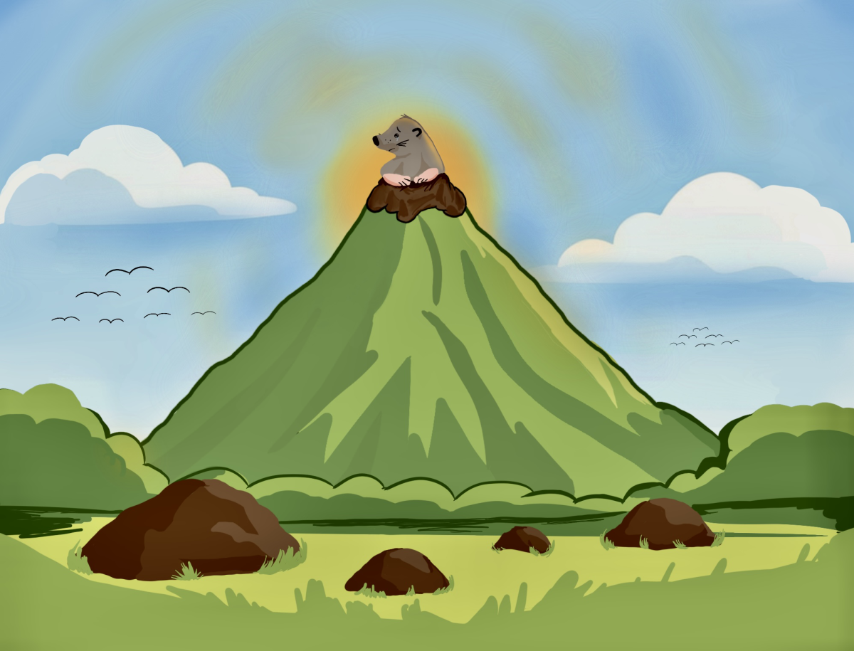 020926_AnujaManjrekar_Mountain_WEB