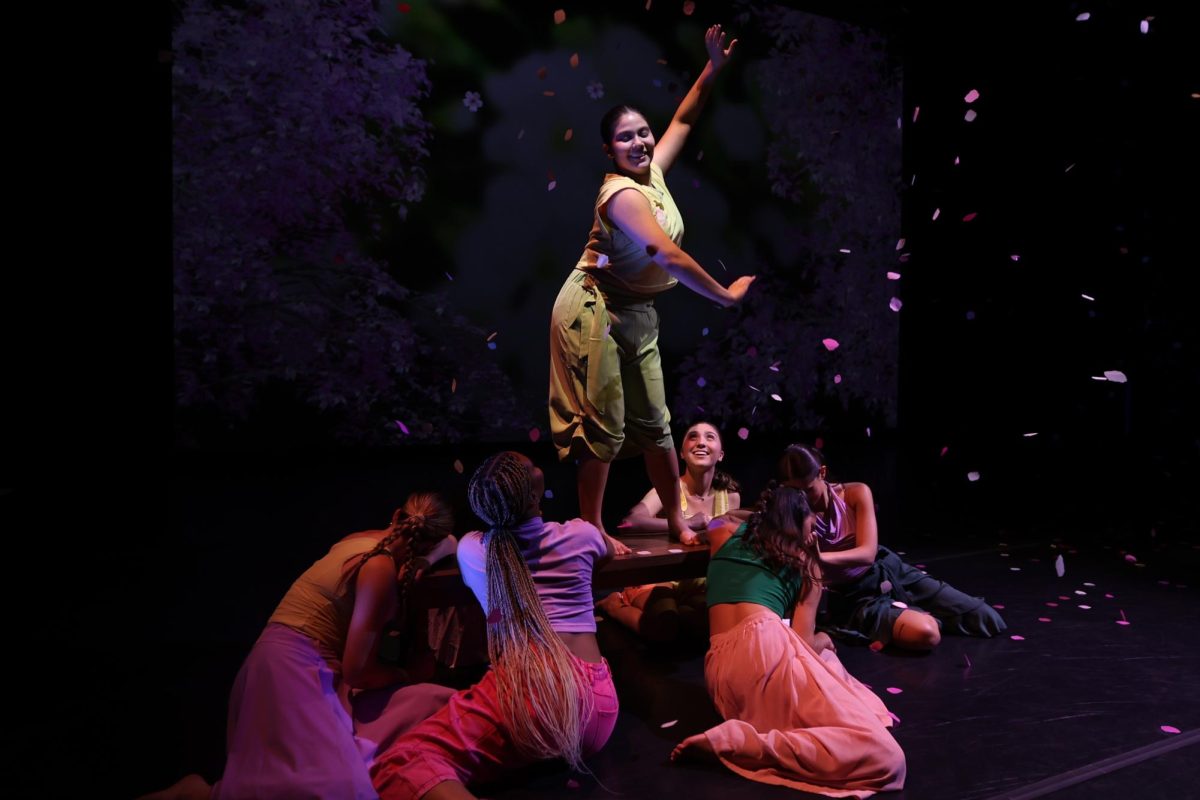 Springing into new life at Equinox showcase